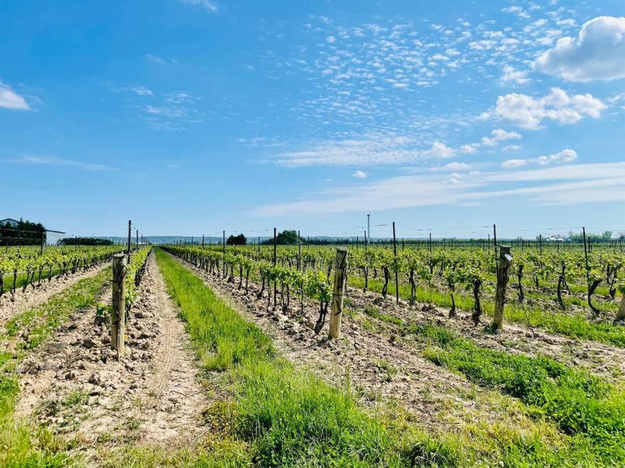 Waterfront Niagara-On-The-Lake Farmhouse On A Vineyard Villa Exterior foto